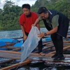 Wakil Bupati Kukar berikan bibit ikan air tawar kepada masyarakat Sangasanga