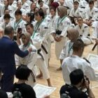 Kejuaraan Shorinji Kempo di Jepang