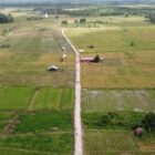 Lahan pertanian di Desa Panca Jaya Kecamatan Muara Kaman