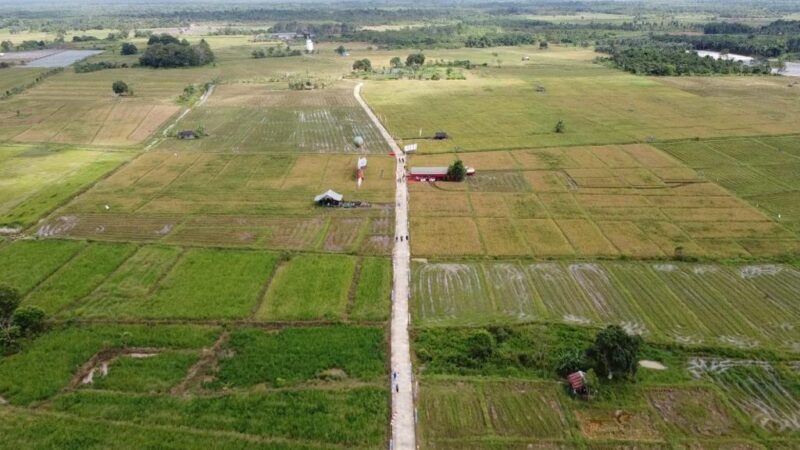 Lahan pertanian di Desa Panca Jaya Kecamatan Muara Kaman