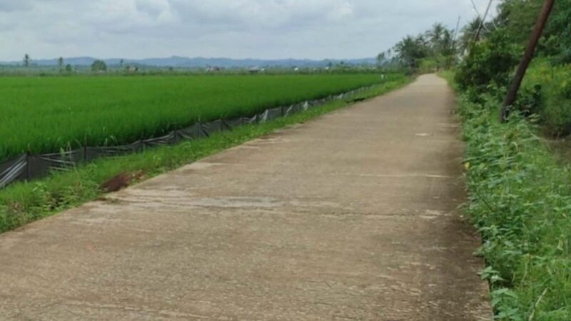 Jalan usaha tani di kawasan pertanian Kecamatan Tenggarong Seberang yang telah dibangun