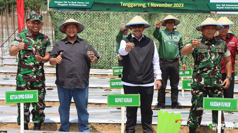 Peninjauan kawasan pengembangan pertanian