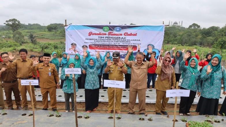 Pemkab dan TP PKK Kukar mengikuti Gerakan Tanam Cabai Serentak (istimewa)