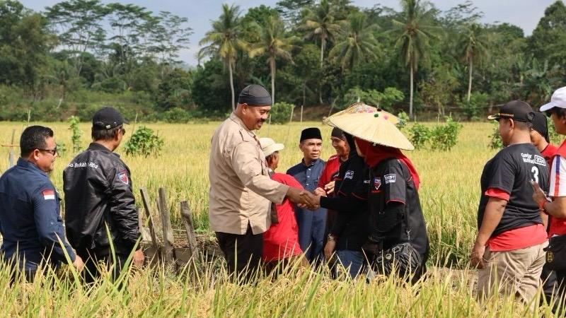 Bupati Kukar ikuti panen padi organik Bersama Poktan Karya Tani