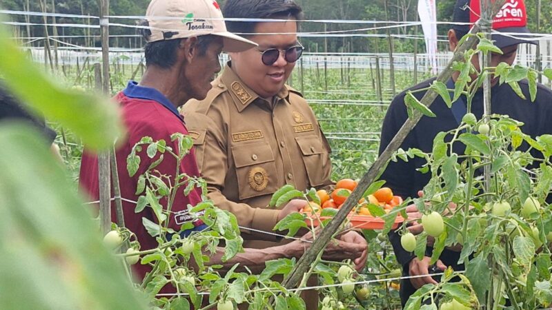 Wail Bupati Kukar, melihat lahan petani