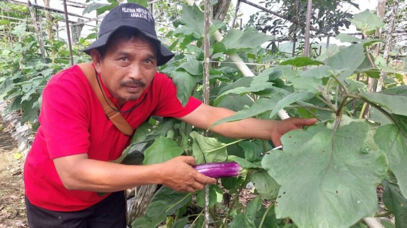 Hasil pertanian Póktan Parahyangan