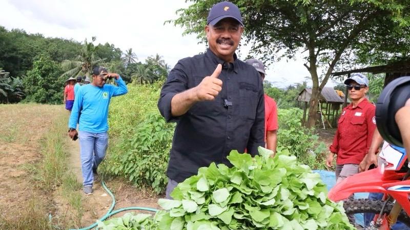 Bupati Kukar, Edi Damansyah saat melakukan kunjungan kerja ke lahan pertanian