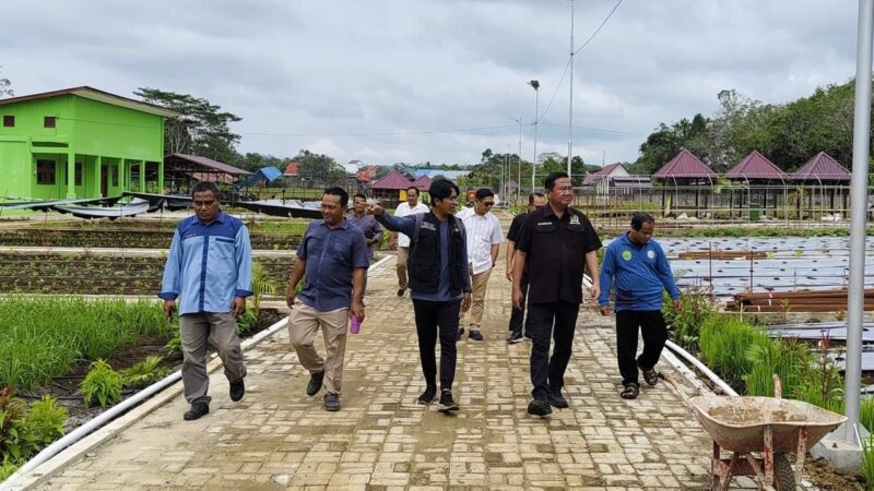 Wakil Ketua I DPRD Kaltim, Ekti Imanuel monitoring lokasi PEDA XI KTNA Kaltim di Kubar