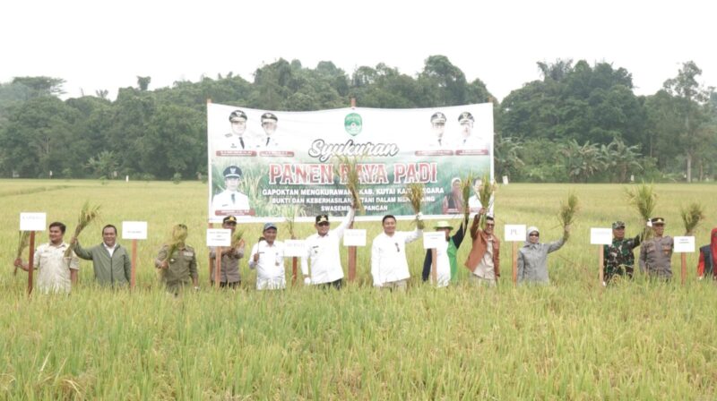 Panen raya padi varietas inpari di lahan milik Gapoktan Sidodadi di Kecamatan Tenggarong