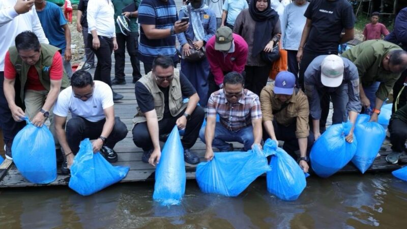 Bupati Kukar, Aulia Rahman Basri melepasliarkan bibit ikan patin di Sungai Kahala