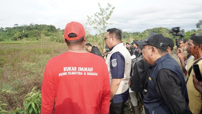 Bupati Kukar, Aulia Rahman Basri meninjau lahan pertanian di Kecamatan Tenggarong