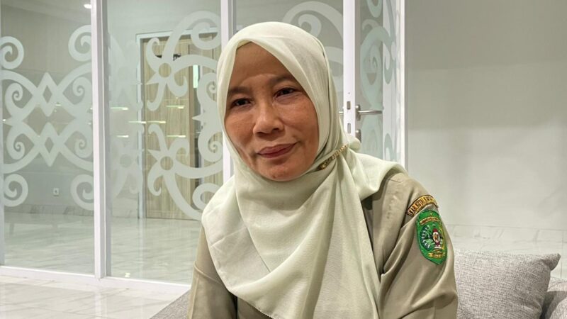 Martina Yulianti - Plt Direktur RSUD AM Parikesit (Latif/Eksposisi)