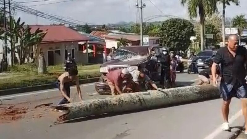 Proses evakuasi pohon yang menimpa mobil di KM 0 jalan poros Tenggarong - Samarinda (Istimewa)