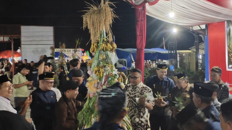 Rebutan gunungan hasil bumi dalam tradisi Sedekah Bumi di Bukit Biru (Latif/Eksposisi)
