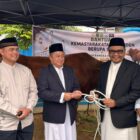 Penyerahan sapi kurban Presiden Prabowo Subianto Di Masjid KH M Sadjid Tenggarong (Latif/Eksposisi)