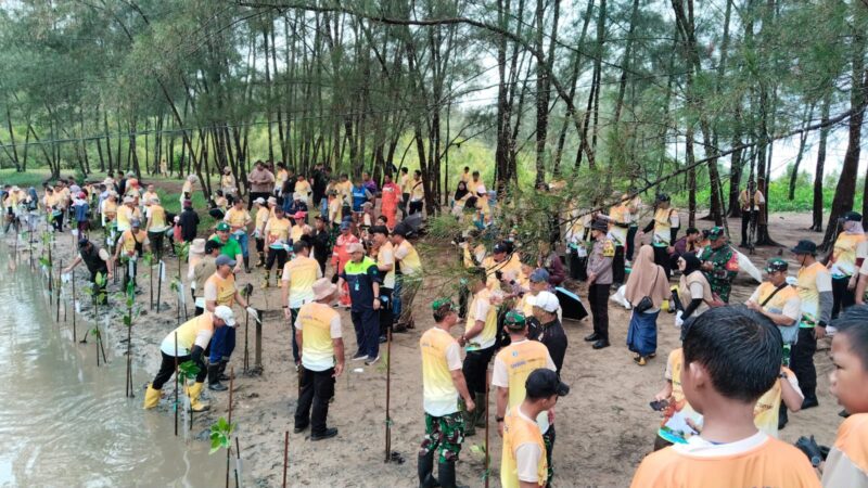 Kegiatan penanaman mangrove di Pantai Tanah Merah Samboja (Istimewa)