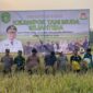 Bupati Kutai Kartanegara, Aulia Rahman Basri menghadiri panen raya dan silaturahmi bersama Kelompok Tani Muda Sejahtera (Latif/Eksposisi)