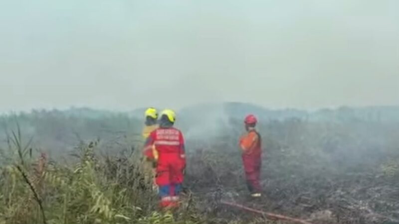 Penanganan kebakaran hutan dan lahan di Kutai Kartanegara (Istimewa)