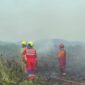 Penanganan kebakaran hutan dan lahan di Kutai Kartanegara (Istimewa)